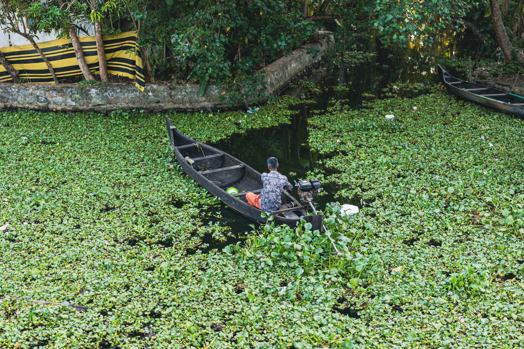 Canoer Among Water Hyacinth